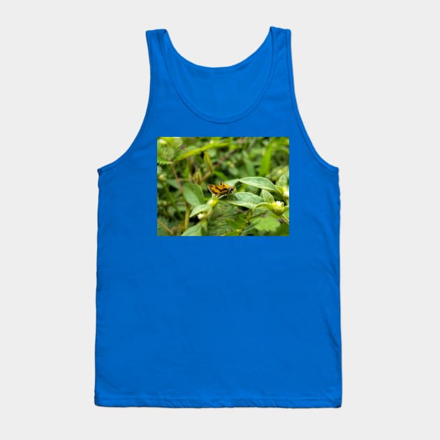 Brown Butterfly Tank Top by Vikinoko Micro Photography